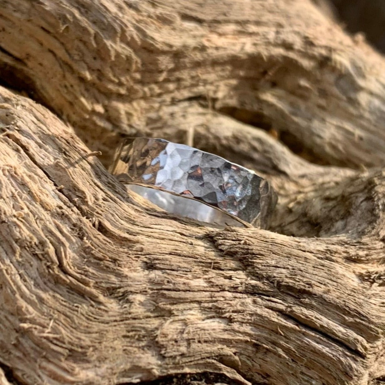 Stippled ring on a log